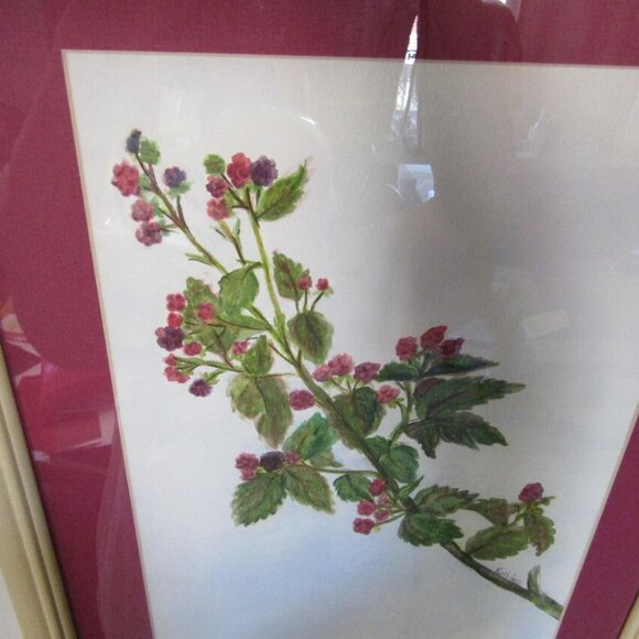 Framed Watercolor Painting Raspberries Original Artwork 19x15 Signed Authentic - Picture 5 of 9